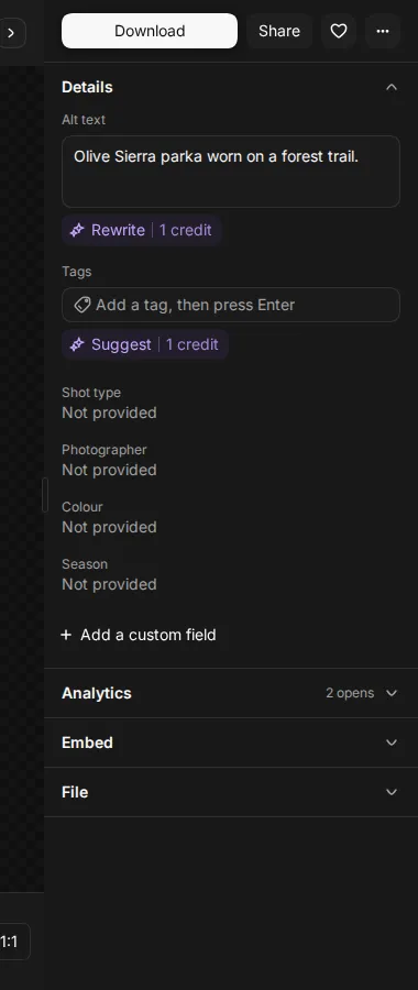 The Details section with alt text, tags and the photo details