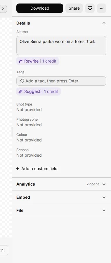 The Details section with alt text, tags and the photo details